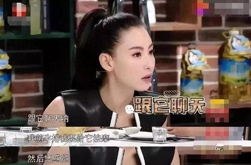 独家爆料被告 演艺圈明星系列长篇,独家爆料，明星系列长篇深度解析